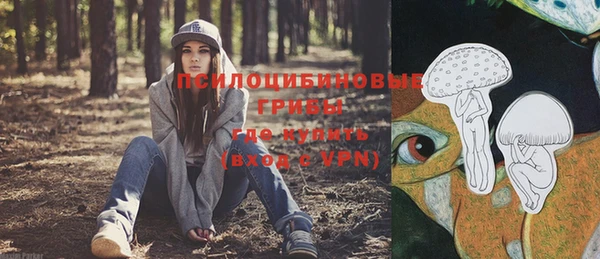 mix Белокуриха